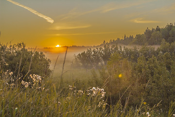 Image showing       summer Morning.