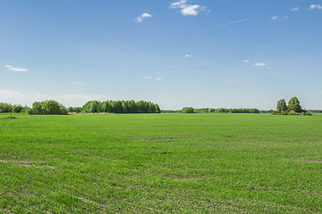 Image showing summer landscape