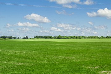 Image showing summer landscape