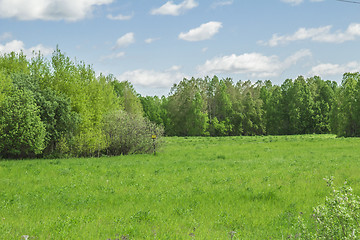 Image showing summer landscape