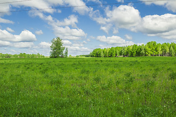 Image showing summer landscape