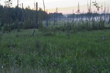 Image showing       summer Morning.