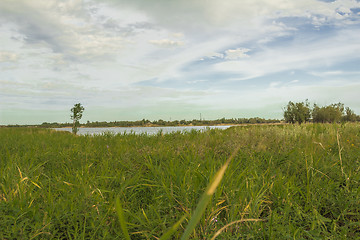 Image showing       summer Morning.