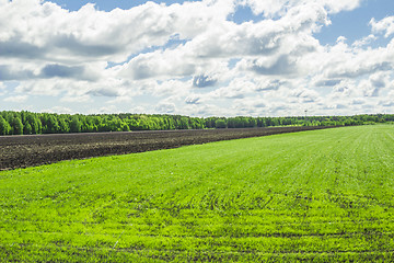 Image showing summer landscape