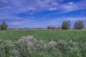 Image showing       summer Morning.