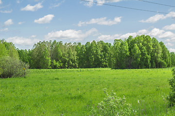 Image showing summer landscape