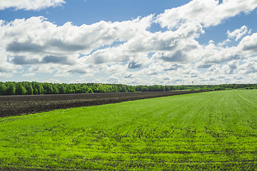 Image showing summer landscape