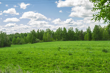 Image showing summer landscape