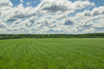 Image showing summer landscape