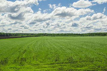 Image showing summer landscape