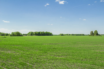 Image showing summer landscape