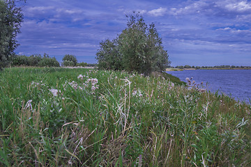 Image showing       summer Morning.