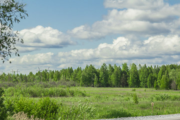 Image showing summer landscape