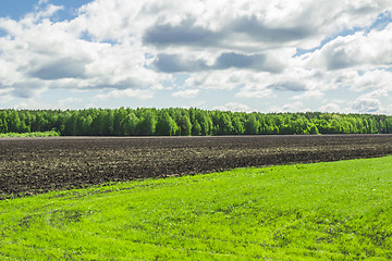 Image showing summer landscape