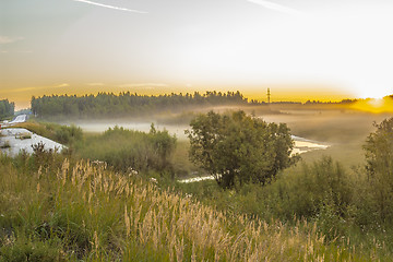 Image showing       summer Morning.