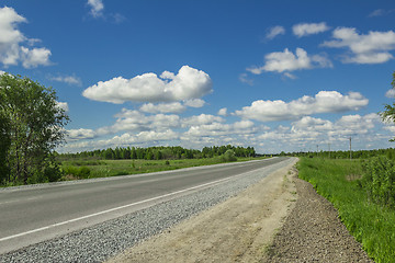 Image showing summer landscape