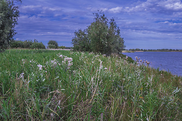 Image showing       summer Morning.