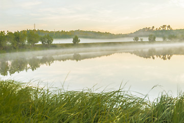 Image showing       summer Morning.