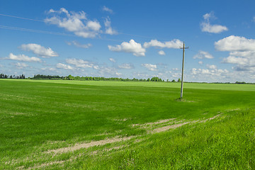 Image showing summer landscape