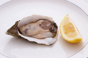 Image showing Oyster And Lemon