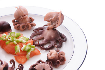 Image showing Cooked Octopus