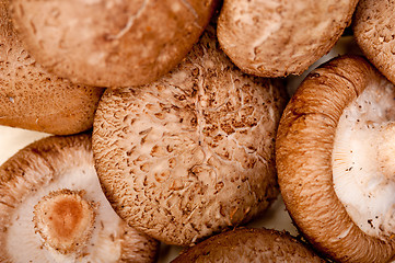 Image showing shiitake mushrooms