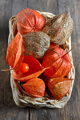 Image showing red Physalis fruits