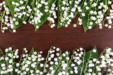 Image showing Lily of the valley