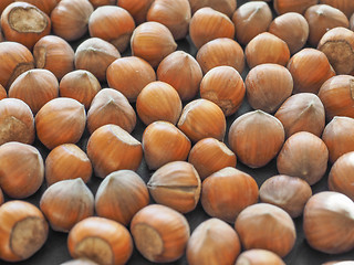 Image showing Hazelnut fruit