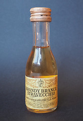 Image showing Branca Brandy