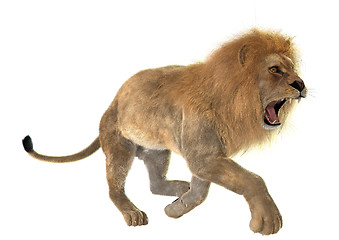 Image showing Angry Lion