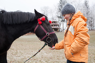 Image showing Young girl feeding a horse