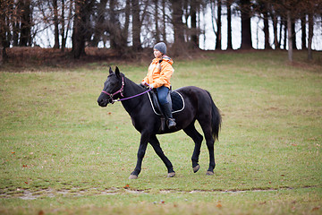 Image showing Girl and horse