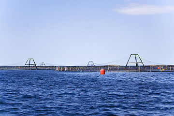 Image showing seafarm, Norway