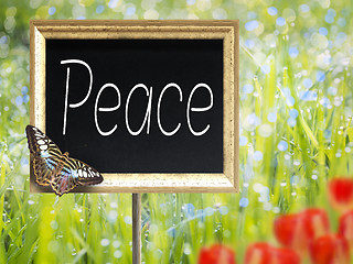 Image showing Chalkboard with text Peace