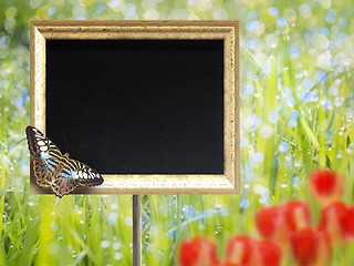 Image showing Chalkboard with butterfly