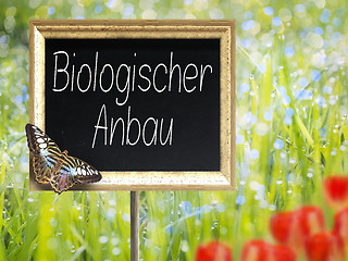 Image showing Chalkboard with german text Biologischer Anbau