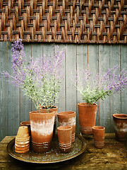 Image showing Clay pots with blooming plants