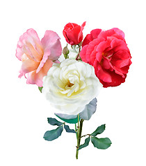 Image showing Rose Flowers