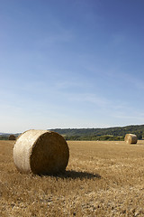 Image showing Golden fields