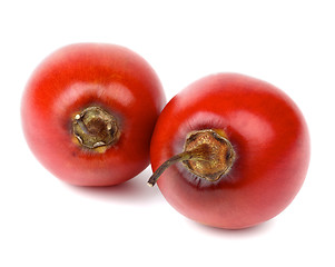 Image showing Tamarillo Fruits