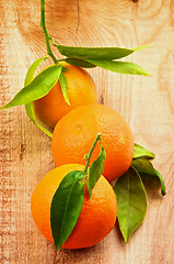 Image showing Tangerines