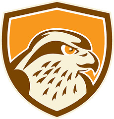 Image showing Peregrine Falcon Head Shield Retro