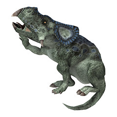 Image showing Dinosaur Protoceratops