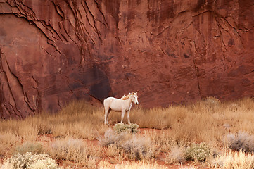 Image showing Monument Valley