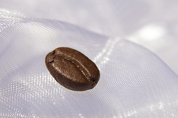 Image showing Coffee Bean