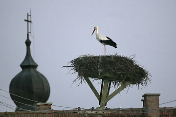 Image showing White stork in nest above roof