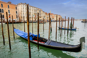 Image showing Moored gondolas in Venice