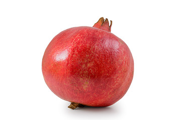 Image showing Pomegranate