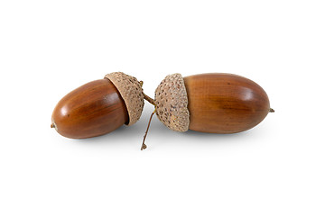 Image showing Two acorns